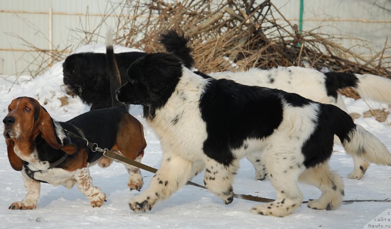 Фотография № 174004