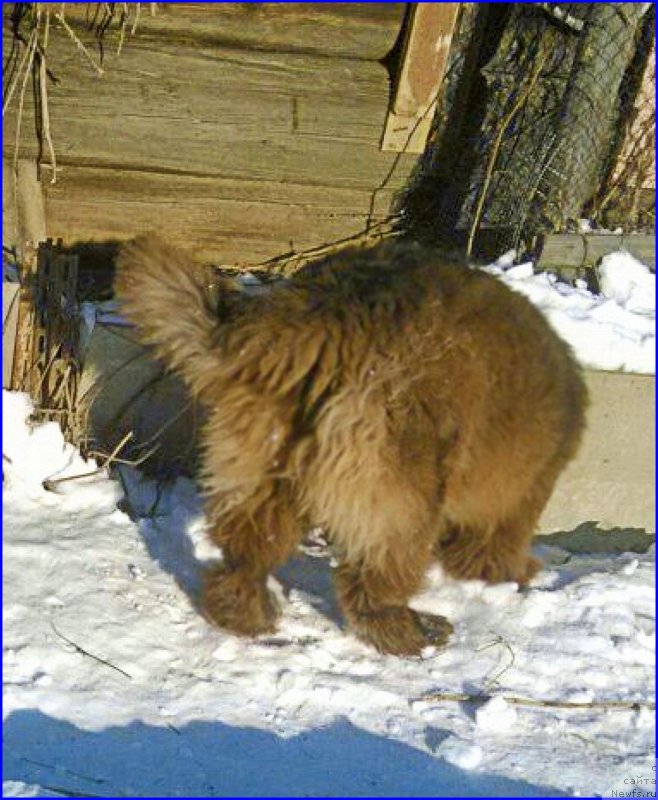 Фотография № 174044