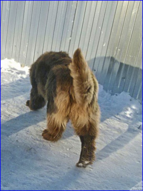 Фотография № 174045