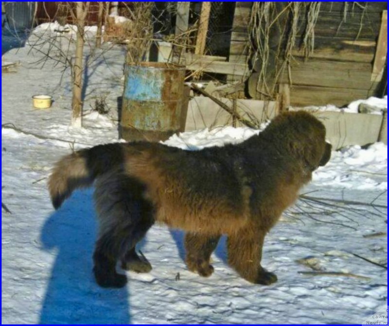 Фотография № 174046