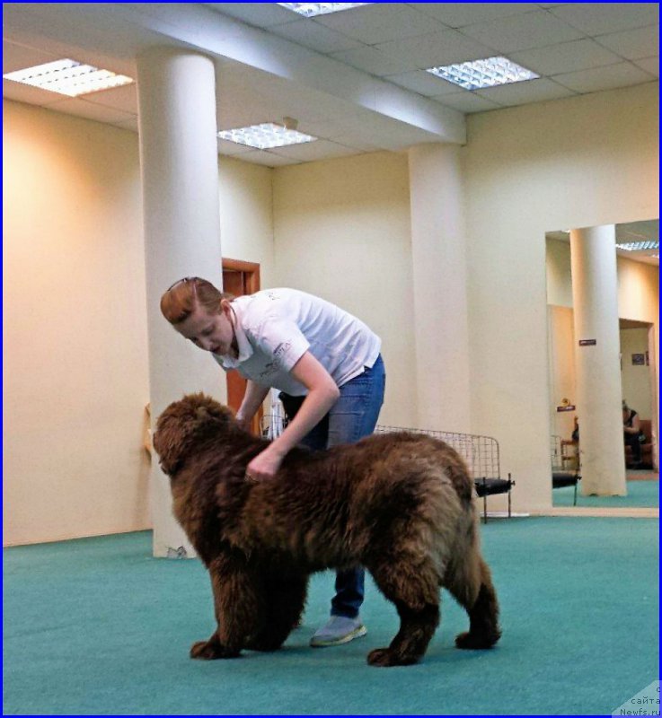 Фотография № 174051