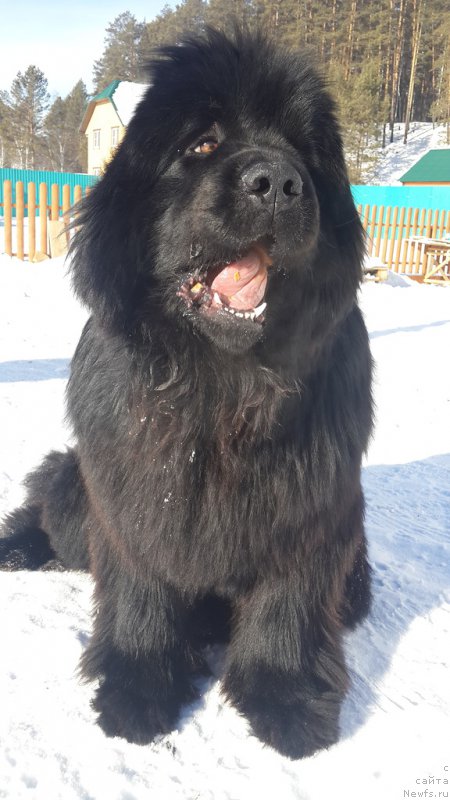 Фотография № 174097