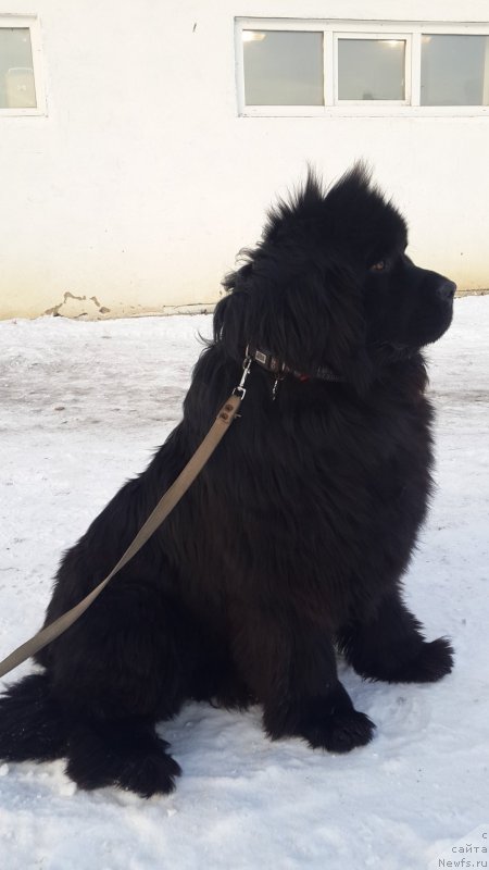 Фотография № 174098