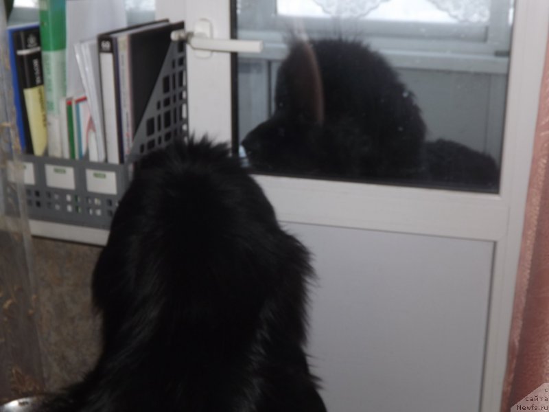 Фотография № 174114