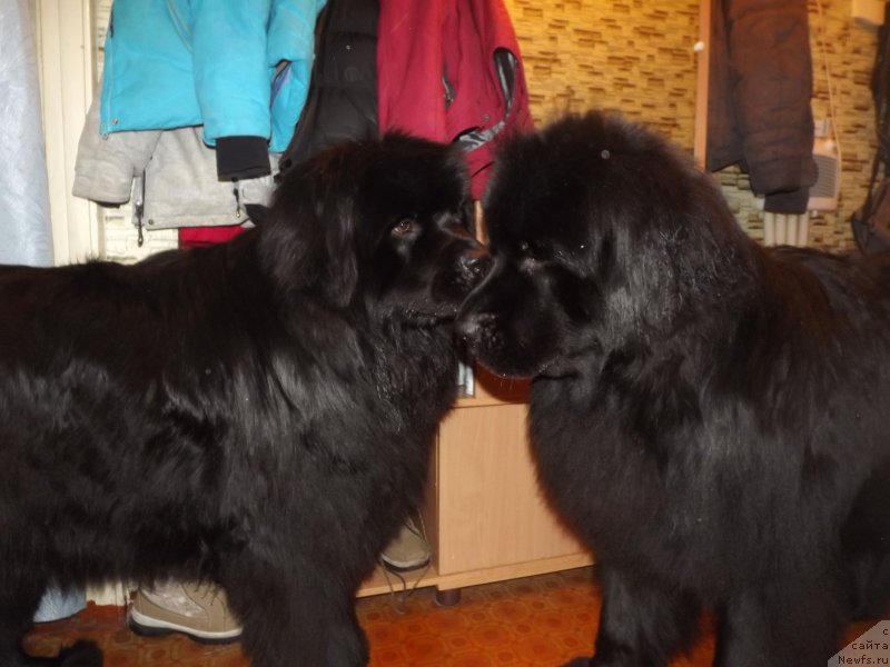 Фотография № 174115