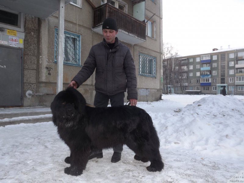 Фотография № 174116