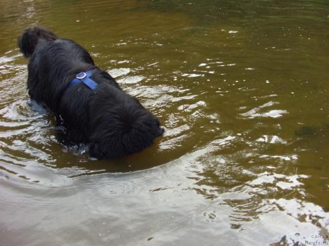 Фотография № 17412