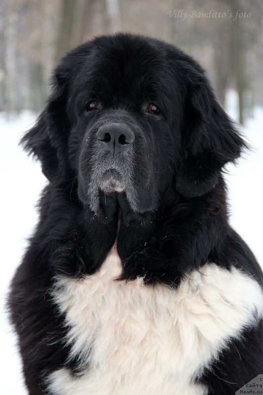 Фотография № 174135