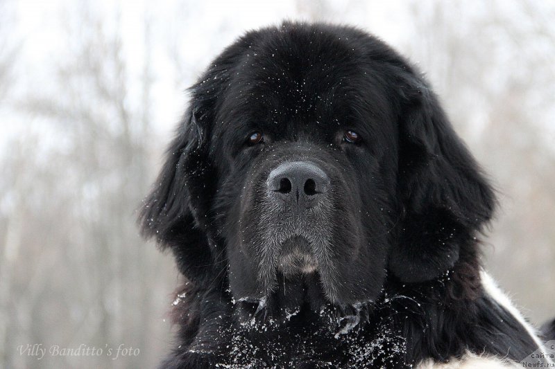 Фотография № 174137