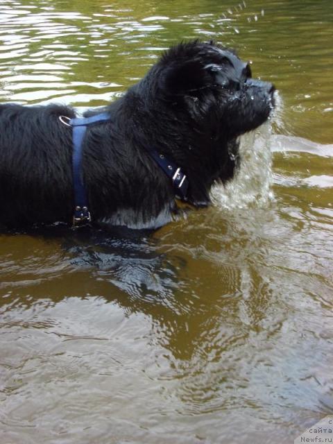 Фотография № 17414