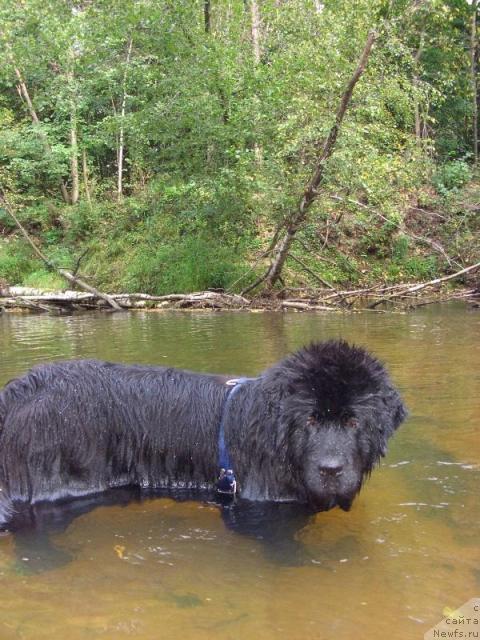 Фотография № 17415