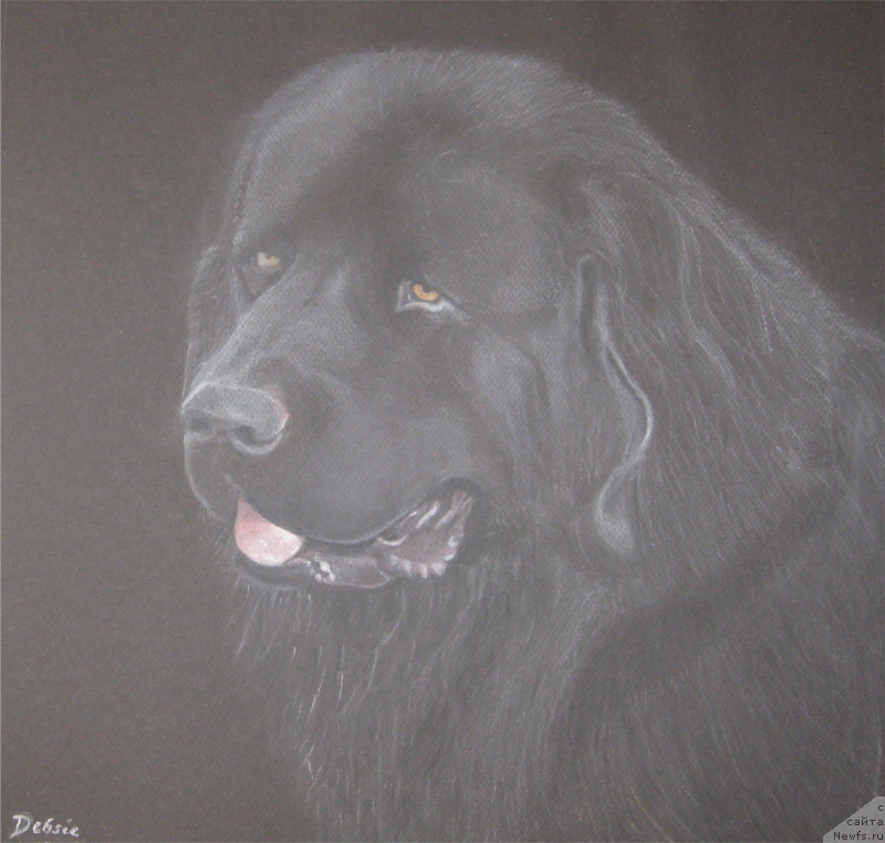 Фотография № 174199