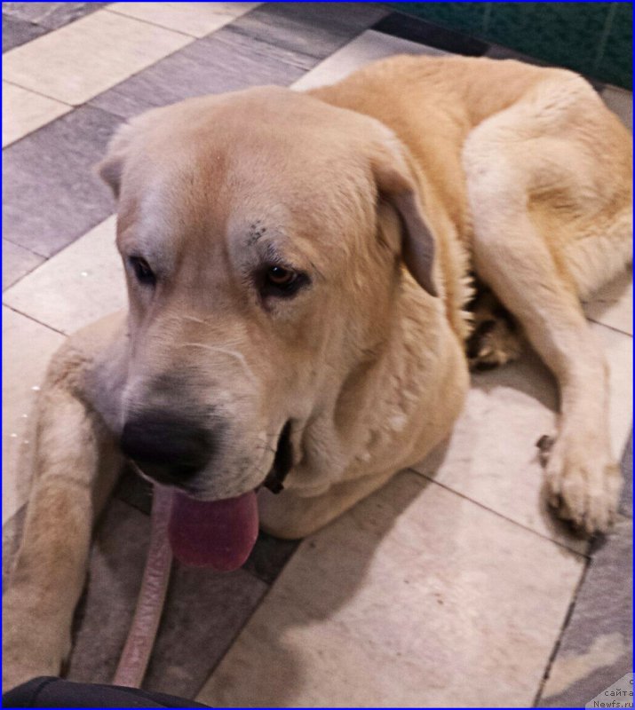 Фото: Lena Zyirina (Лена Зырина), ФРАНКО