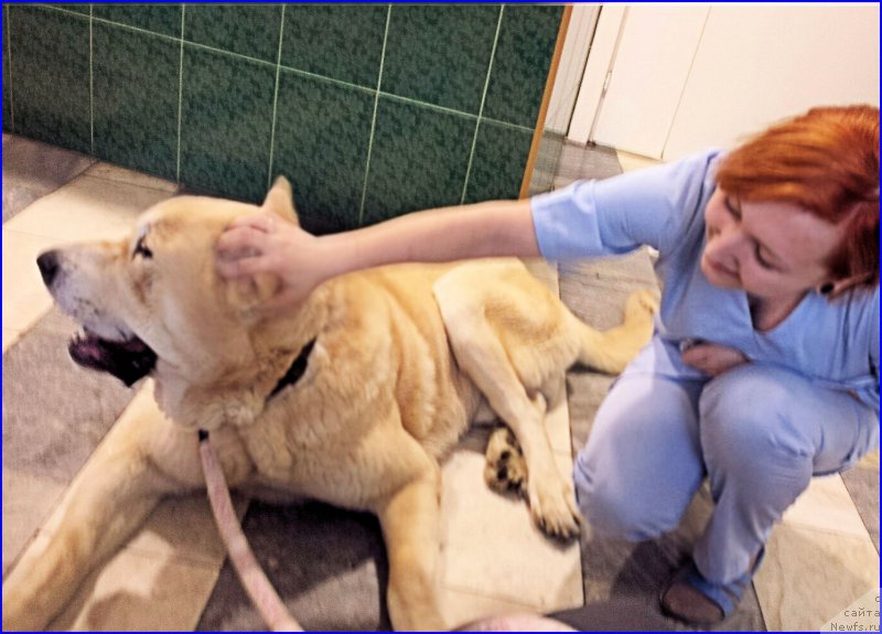 Фотография № 174203