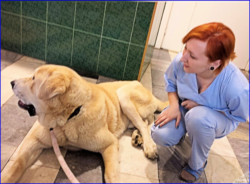 Фотография № 174204