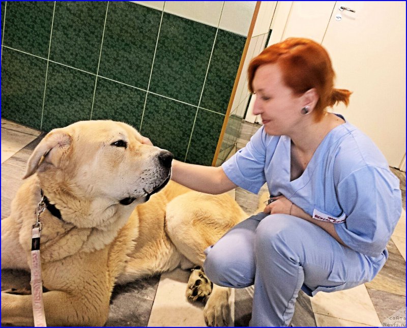 Фотография № 174209