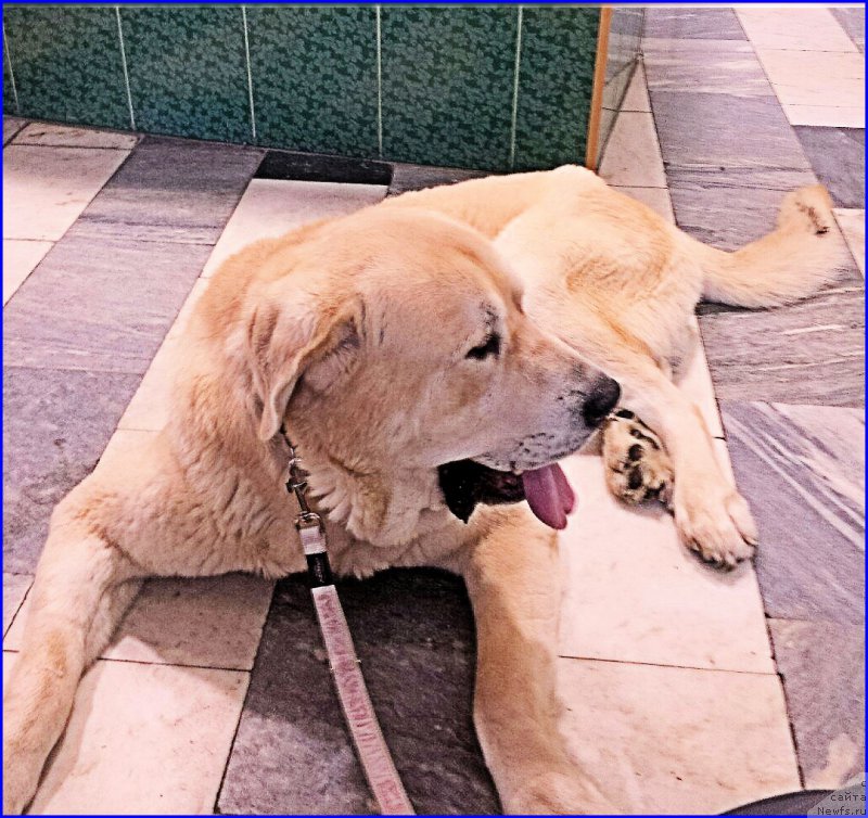 Фото: Lena Zyirina (Лена Зырина), ФРАНКО