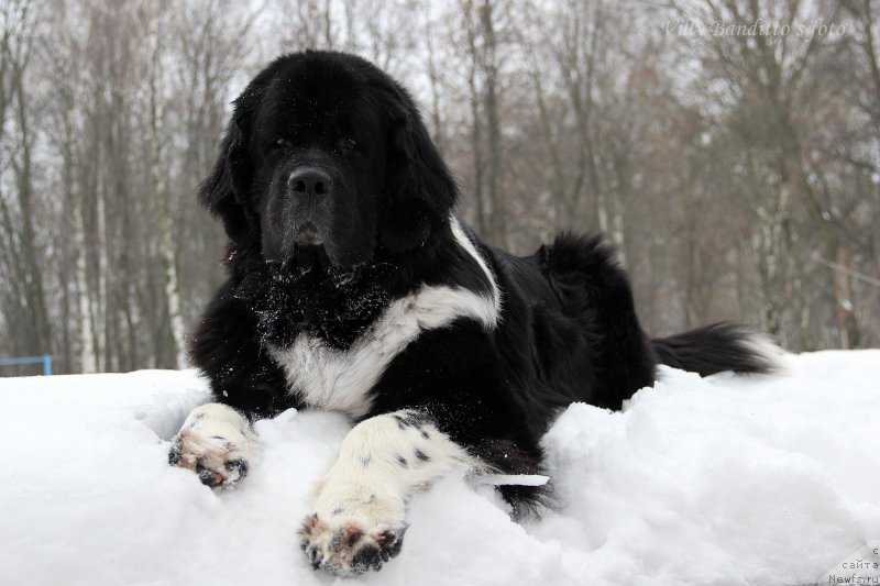 Фотография № 174212