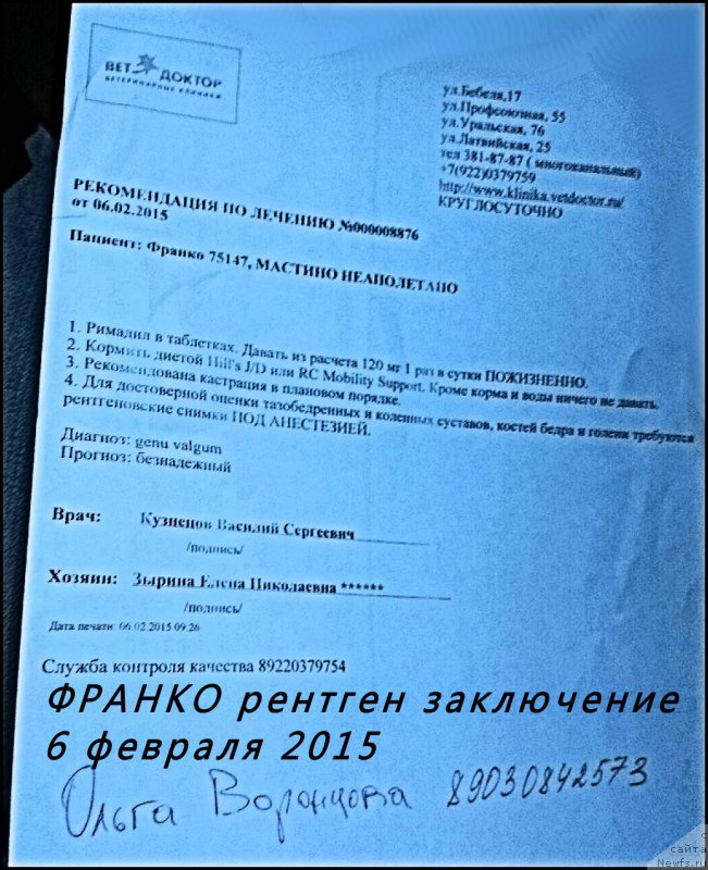 Фото: Lena Zyirina (Лена Зырина), ФРАНКО