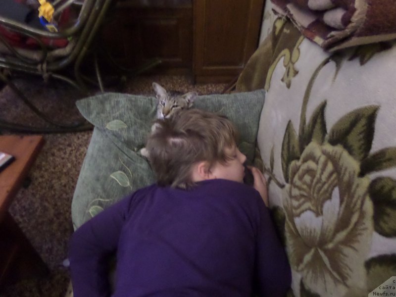 Фото: Sergey Jukov (Сергей Жуков)