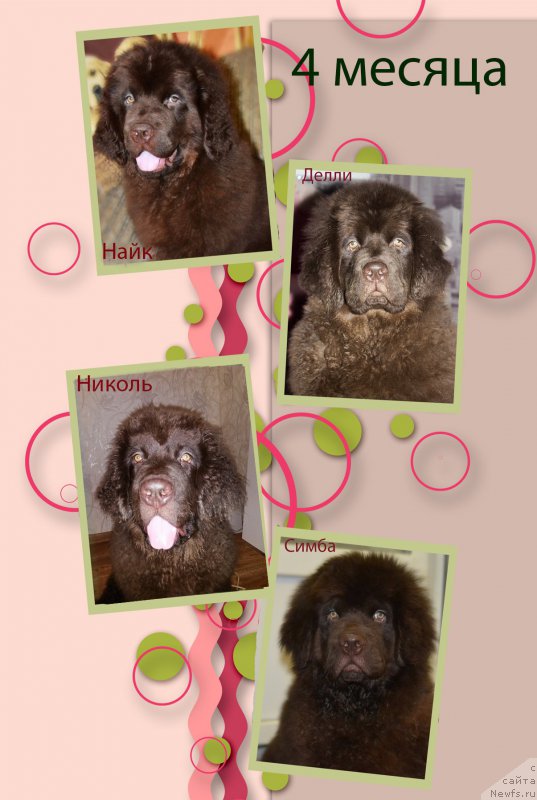 Фотография № 174232