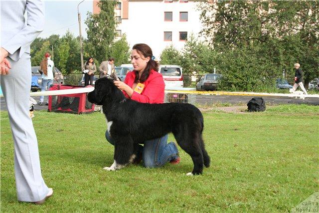 Фотография № 17425