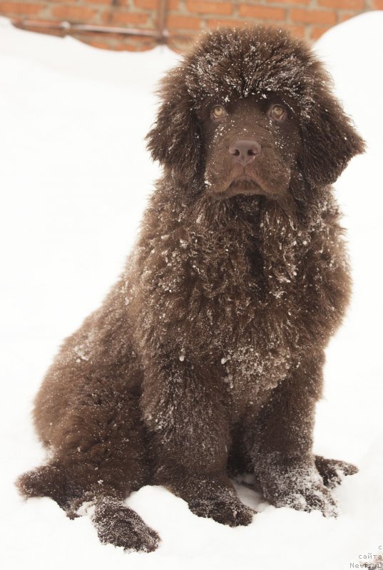 Фотография № 174261