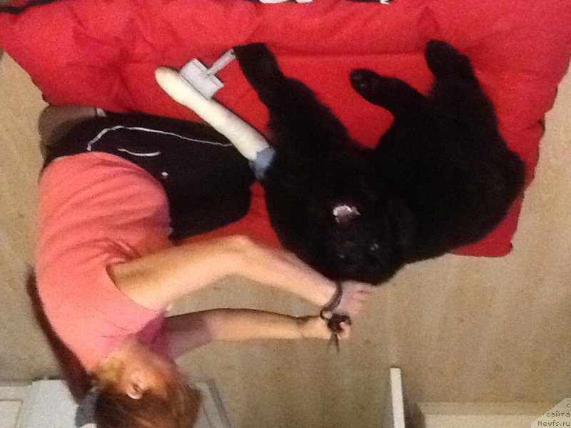 Фотография № 174271