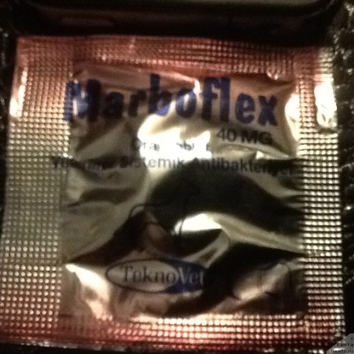 Фотография № 174282