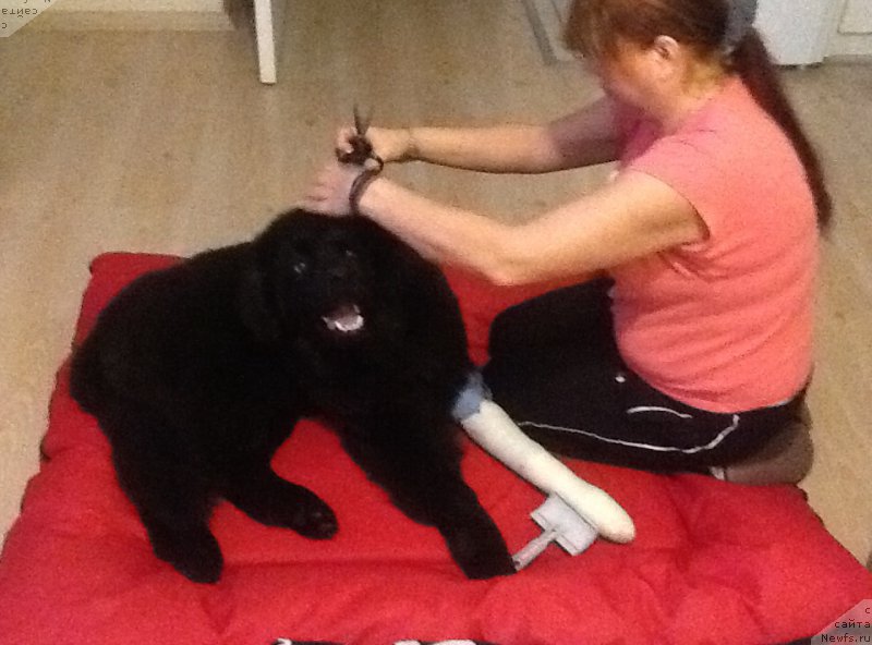 Фотография № 174283