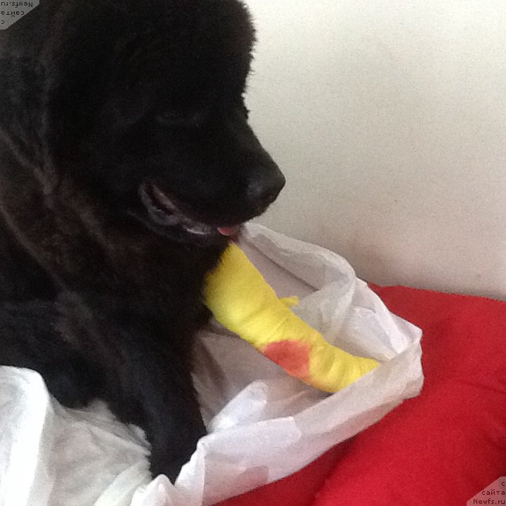 Фотография № 174284