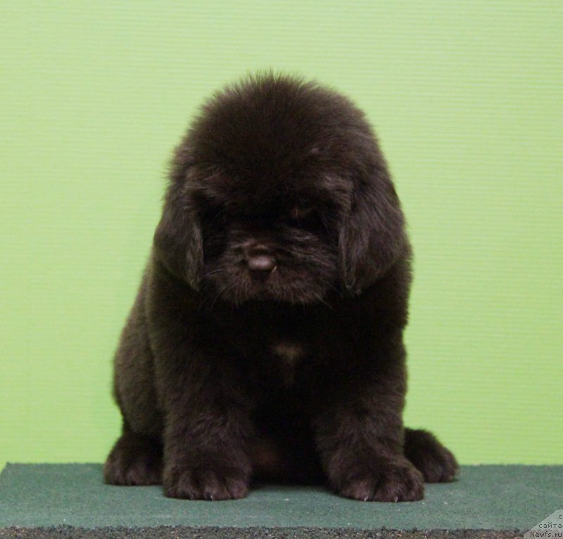 Фото: желтая нитка