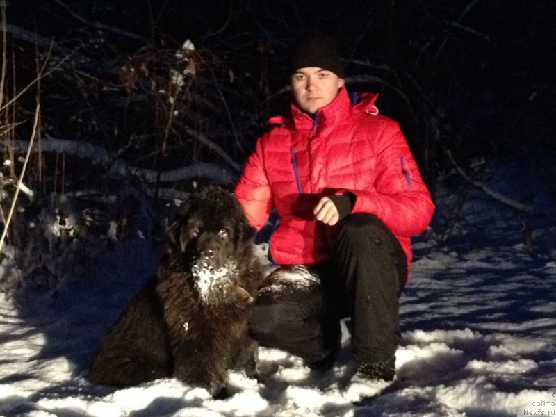 Фото: ньюфаундленд Basnja s Berega Dona (Басня с Берега Дона), Эльдар