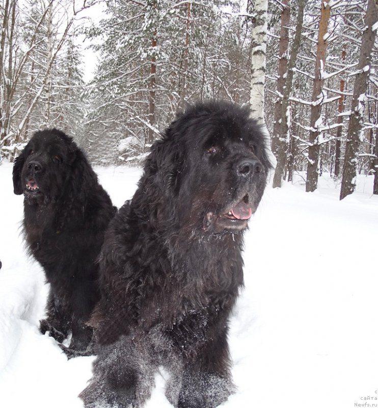 Фотография № 174338