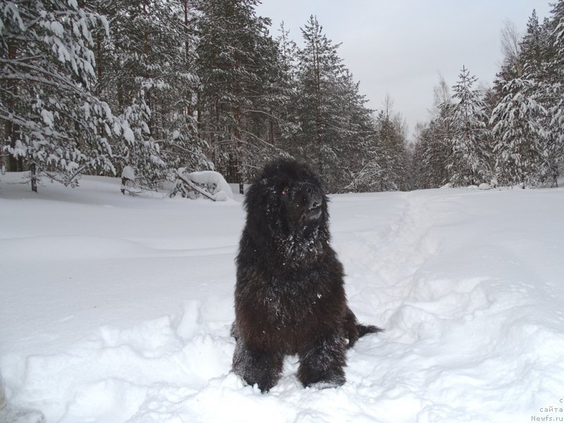 Фотография № 174340