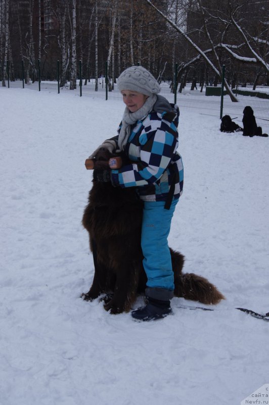 Фотография № 174346