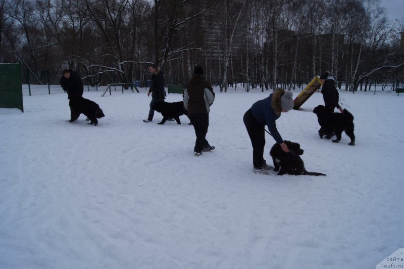 Фотография № 174350