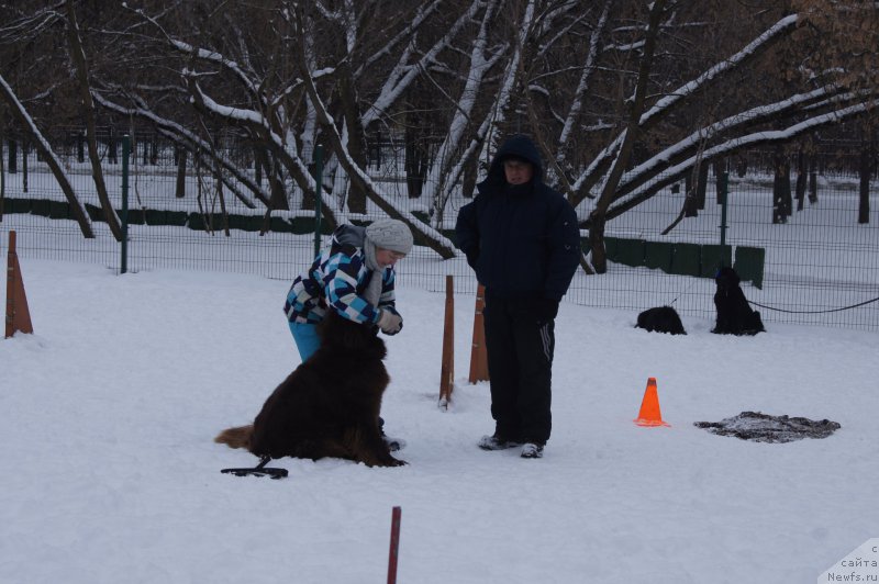 Фотография № 174351