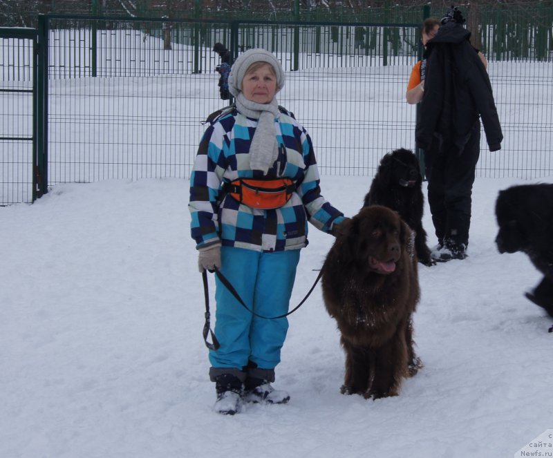 Фотография № 174357