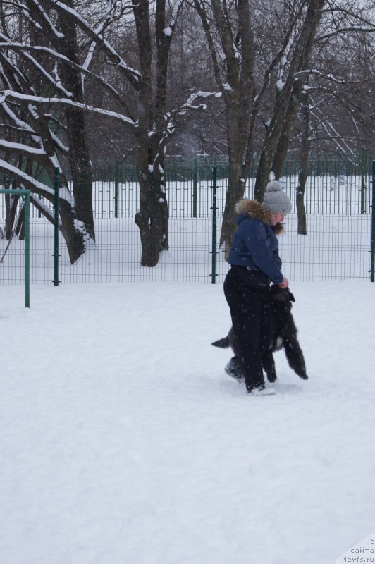 Фотография № 174361