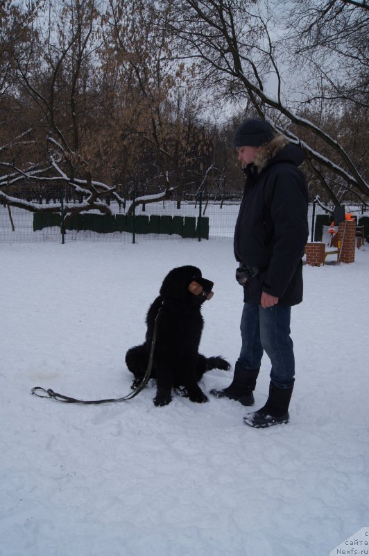 Фотография № 174365