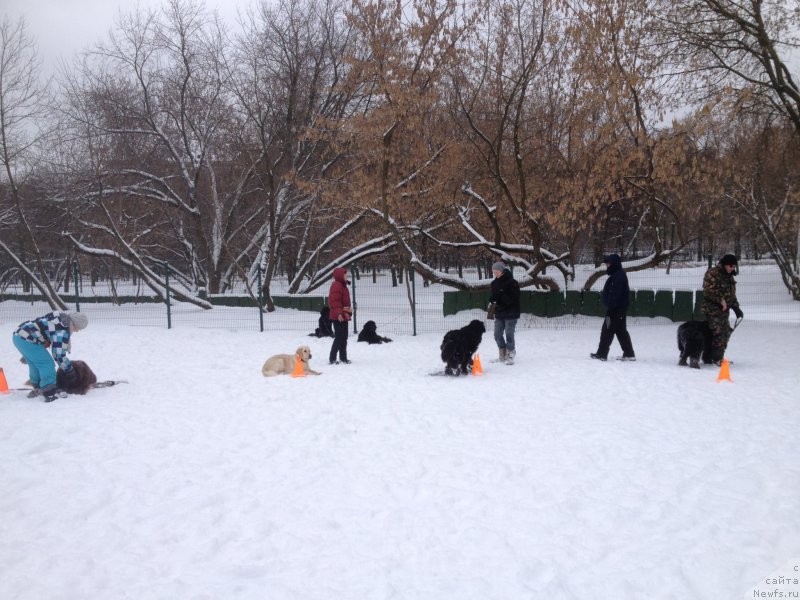 Фотография № 174369