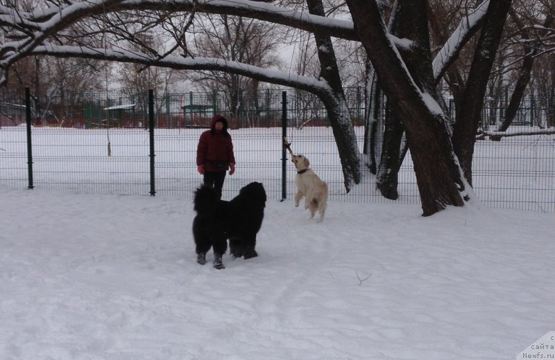 Фотография № 174371