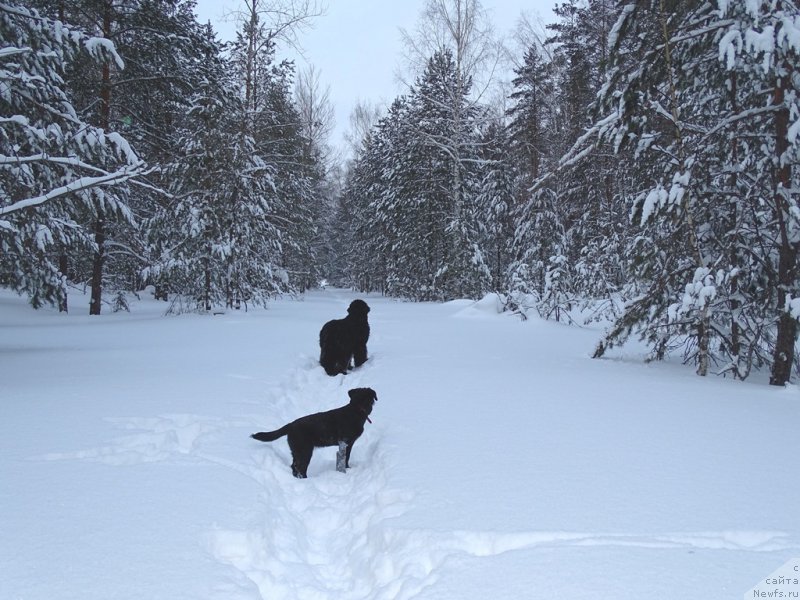 Фотография № 174373