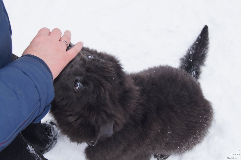 Фотография № 174374