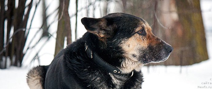 Фотография № 174375