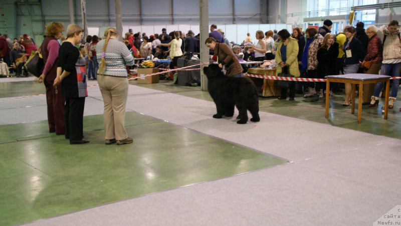 Фотография № 174392