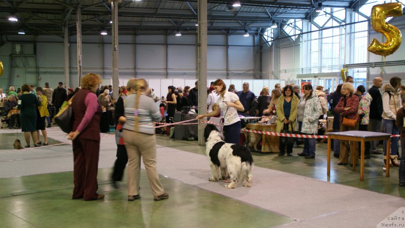 Фотография № 174393