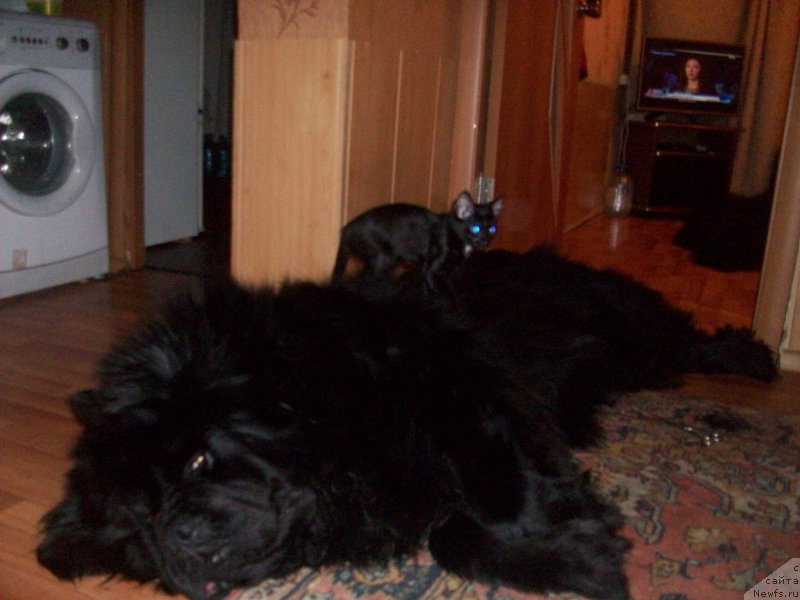 Фотография № 174400