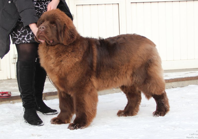 Фотография № 174405